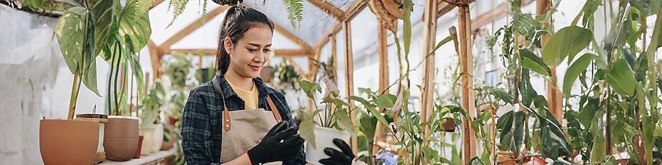 Lady with plants