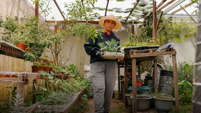 Individual working in a  agricultural environment