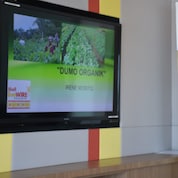 Irene introducing her idea at the 2018 Sabah Shell LiveWIRE Pitching Competition.