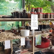 Irene explaining her products to a Shell employee