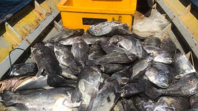 The community designed net-hoist winch tool (ie. at the bow of the boat) that Ai Brique Engineering will manufacture with Sarawakian vocational college students.